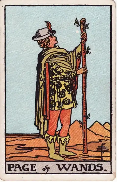 Pajem de Paus Carta de Tarot