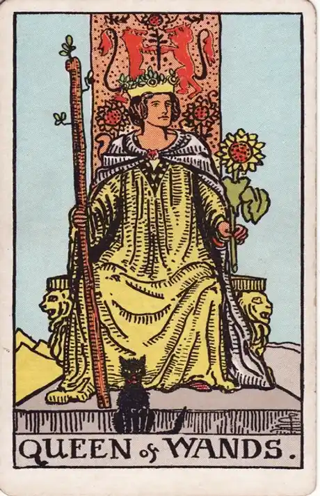 Rainha de Paus Carta de Tarot